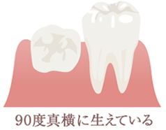 90度真横に生えている