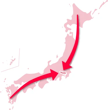 全国からセカンドオピニオンにお越しいただいた患者さまのほとんどが当院でのインプラントを希望